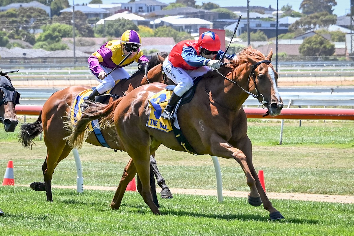 Finance Choice ridden by Harry Grace wins the Gillear Lime & Sandstone Quarries Maiden Plate at Warrnambool Racecourse on January 09, 2022 in Warrnambool, Australia. (Alice Miles/Racing Photos)