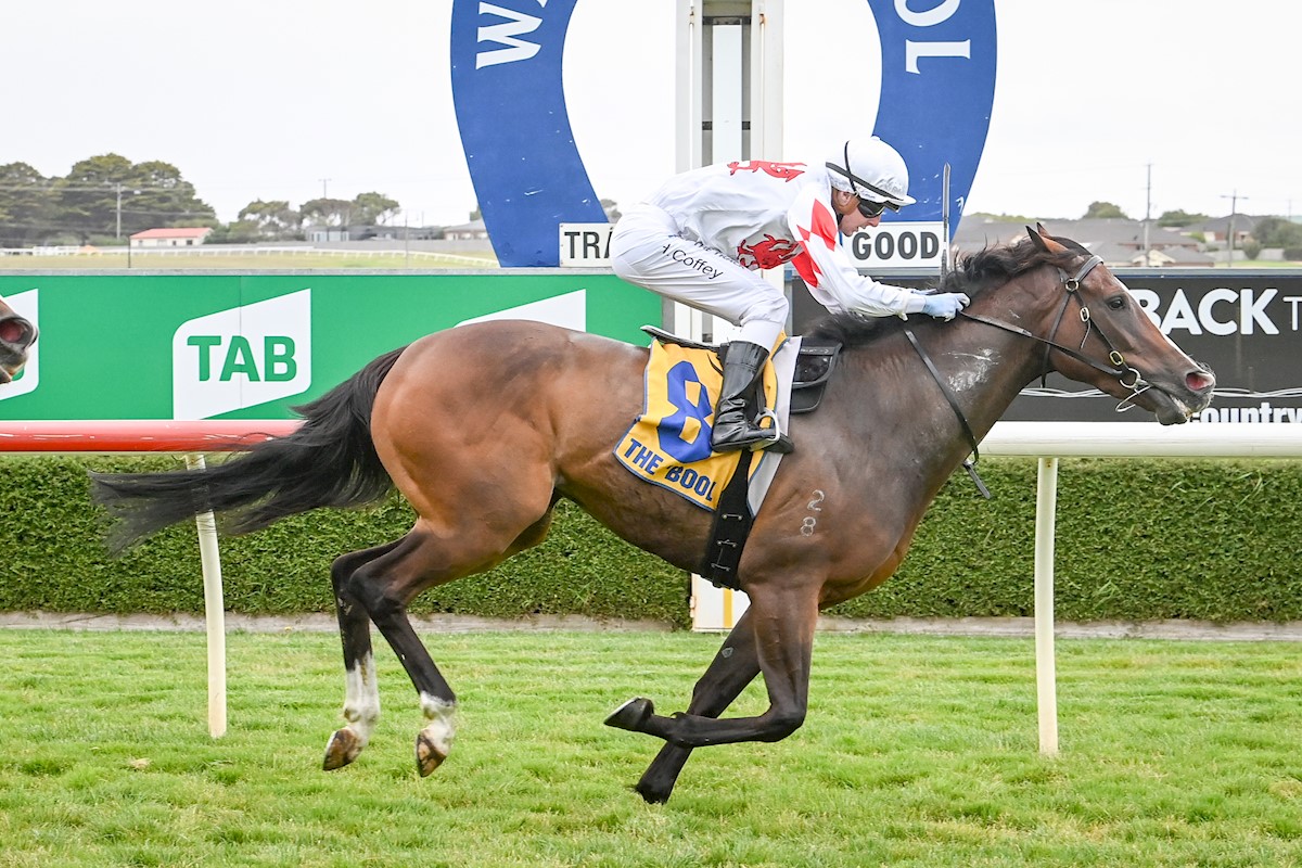 Perfect Darling ridden by Harry Coffey wins the S & S O'Keefe Bricklaying BM58 Handicap at Warrnambool Racecourse on February 03, 2022 in Warrnambool, Australia. (Alice Miles/Racing Photos)