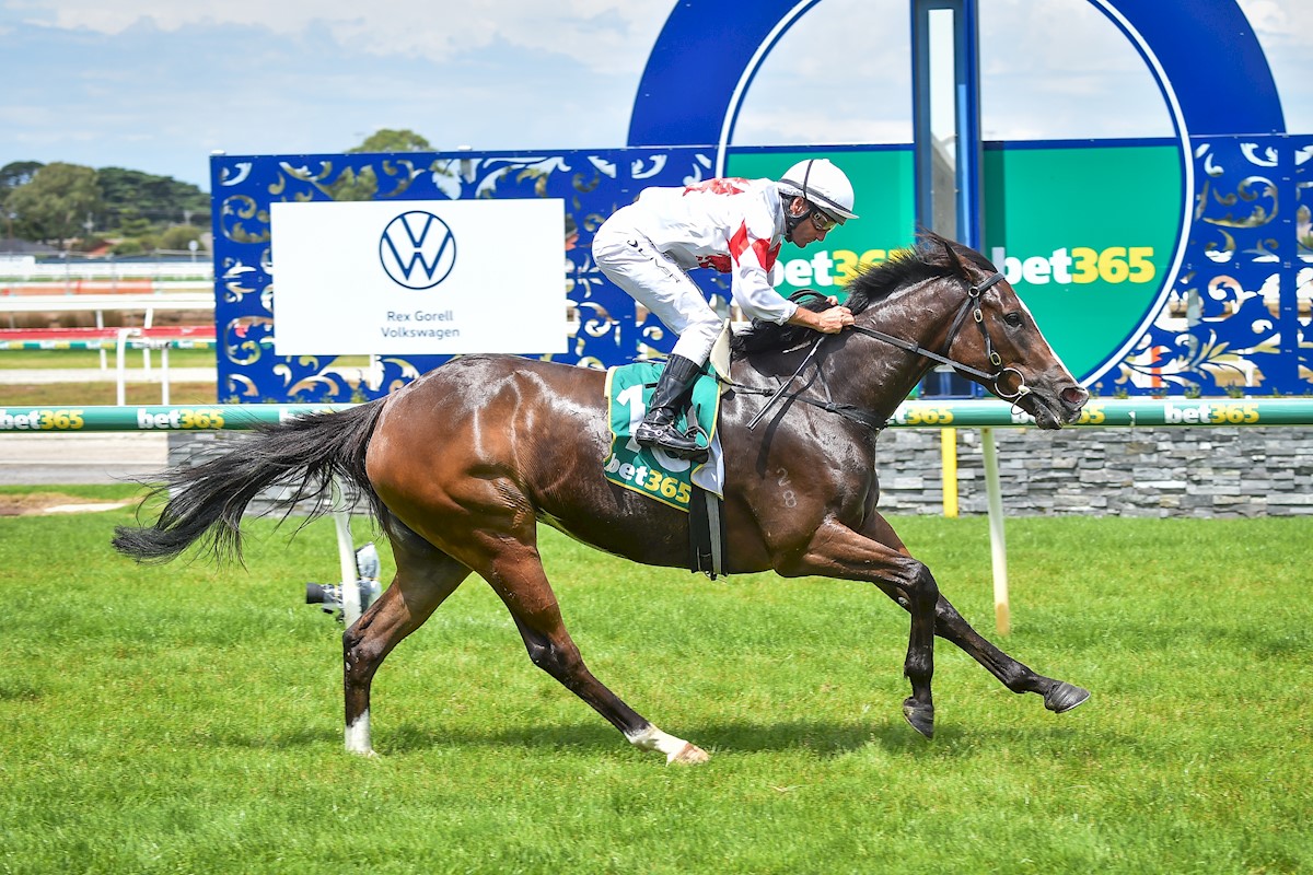 Perfect Darling ridden by Damien Oliver wins the DMB Contracting Maiden Plate at Geelong Racecourse on January 14, 2022 in Geelong, Australia. (Reg Ryan/Racing Photos)