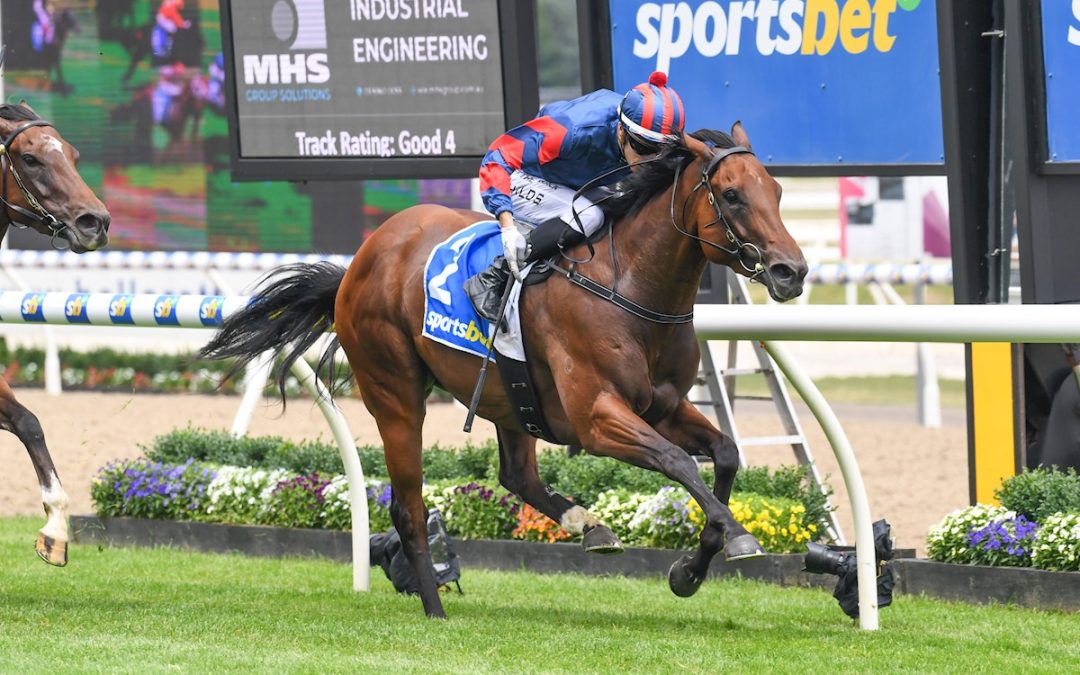 Cat to pounce on Caulfield sprints?