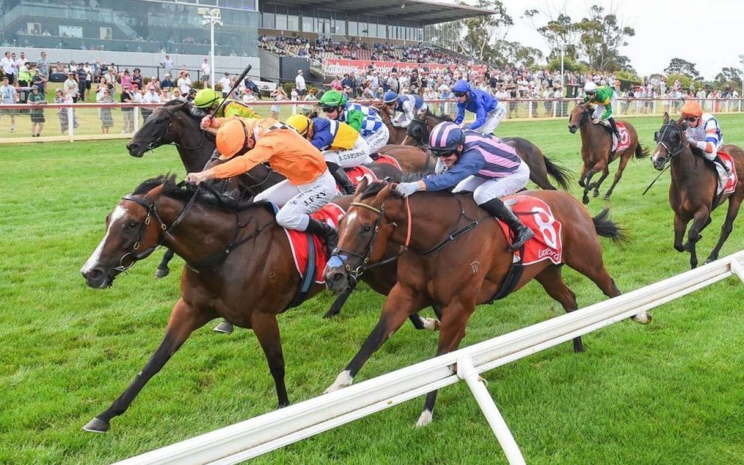 Tasmania a Romantic option for trainer Tom Dabernig after Listed Black Pearl Stakes victory at Geelong