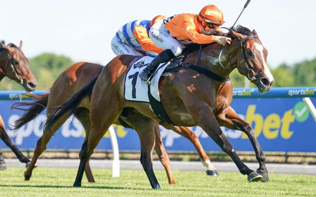 Tom Dabernig to aim three mares at Saturday’s Listed Bel Esprit Stakes at Caulfield