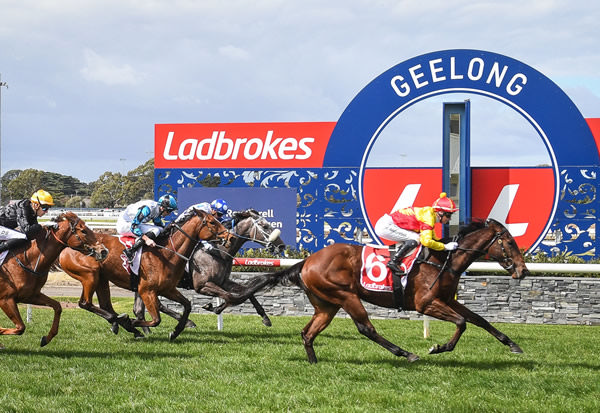 Breednet – One to Watch