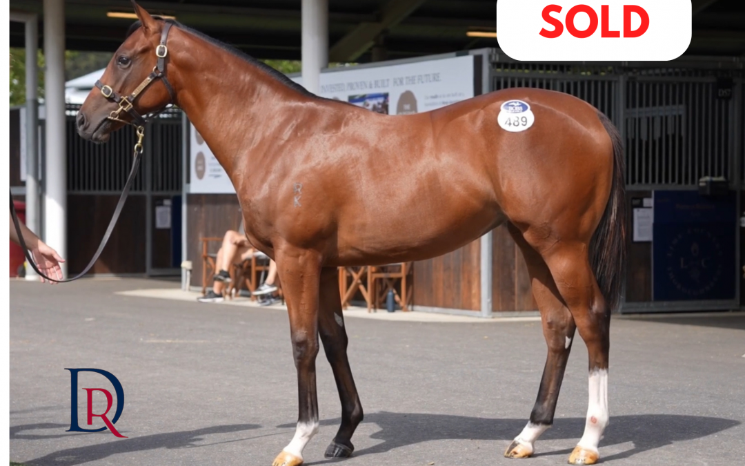 Bivouac x Swish Wish ’24 Filly