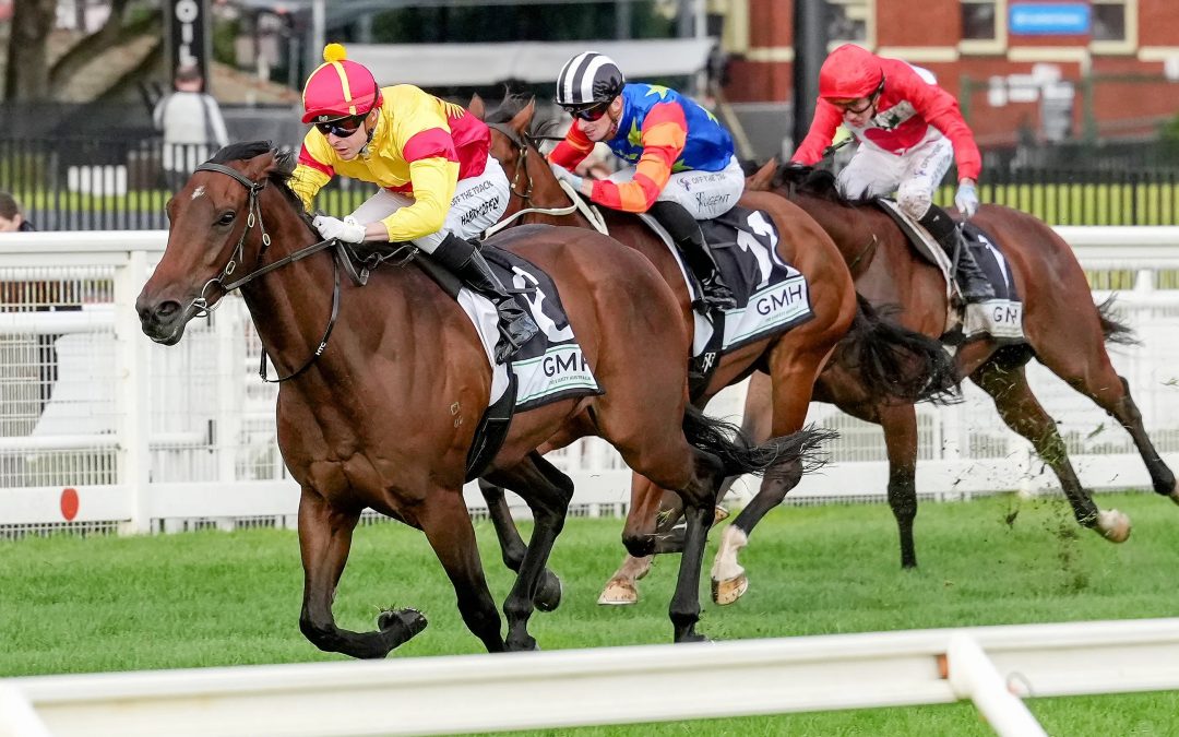 Oliveanotherday eyes Adelaide after Caulfield romp