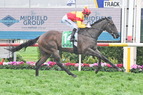 Wangoom glory for homebred rising star