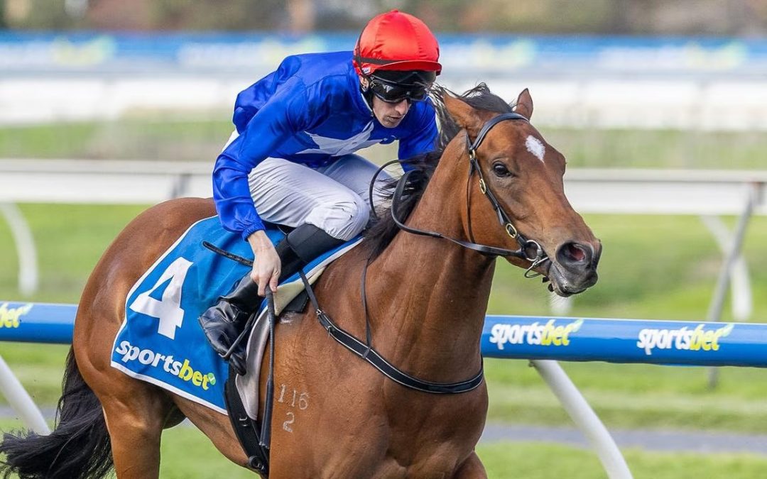 Lightning Strikes At Morphettville For Bivouac Filly