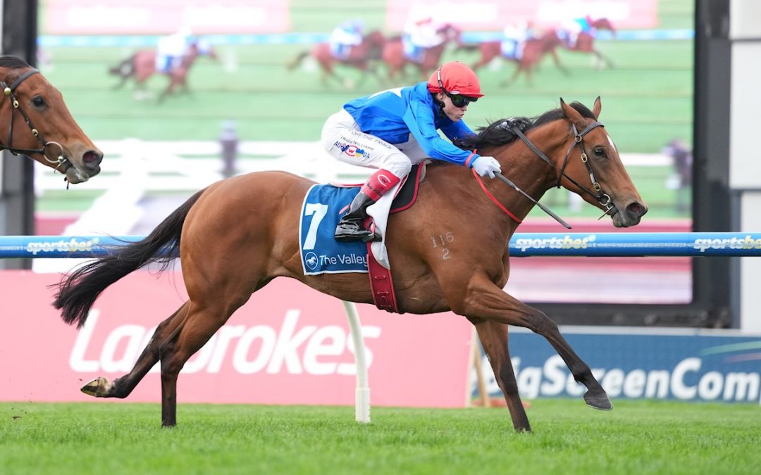 Cavalry Girl puts Moir Stakes rivals on notice