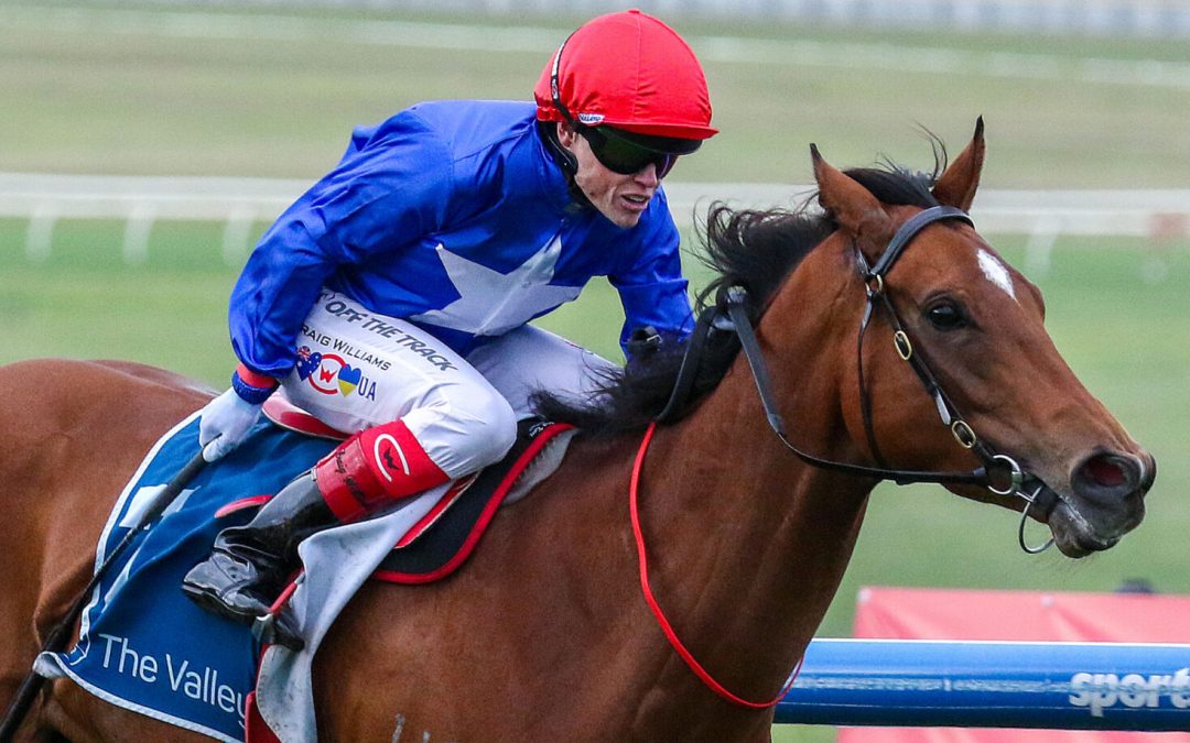 Cavalry Girl punches ticket to Moir Stakes