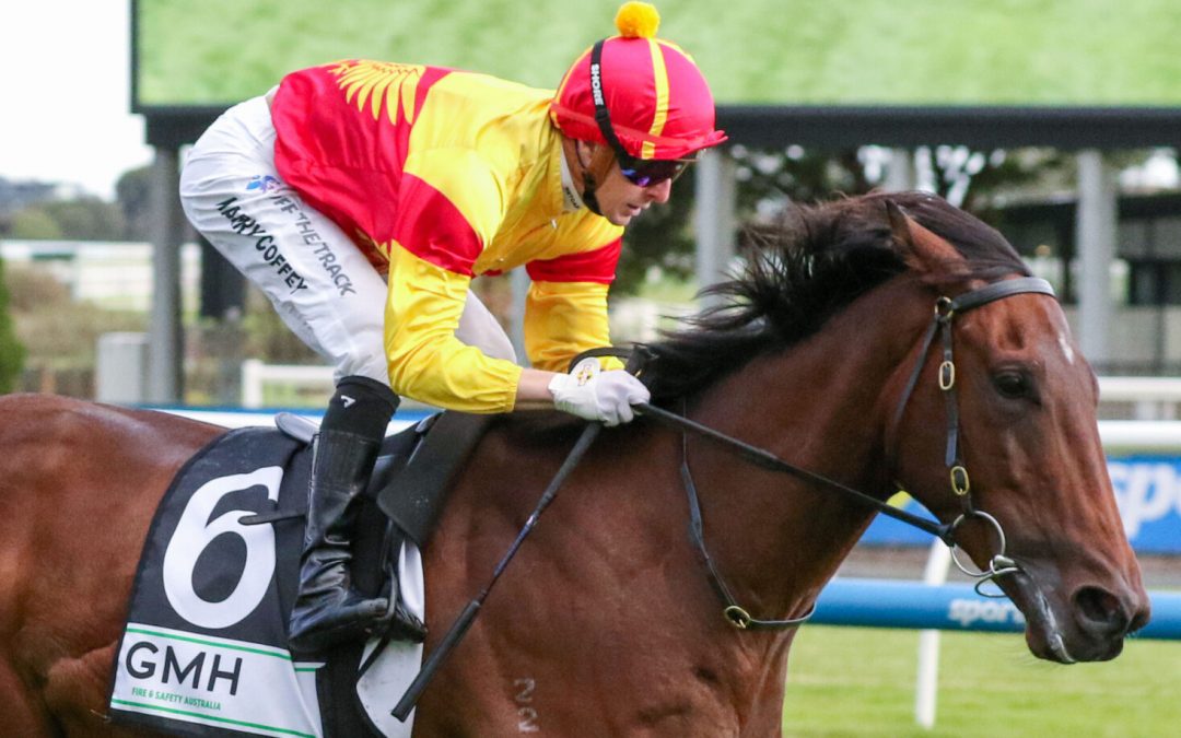 ‘Could be top class’: Big spring ahead for Oliveanotherday