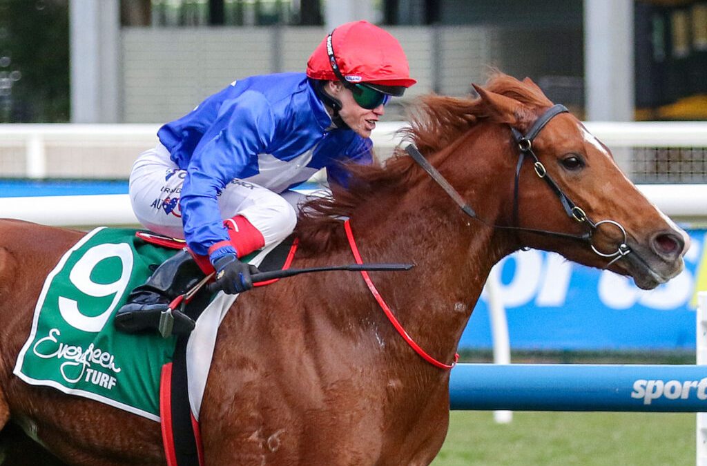 Shadhavar fuels big spring dreams for Team Dabernig