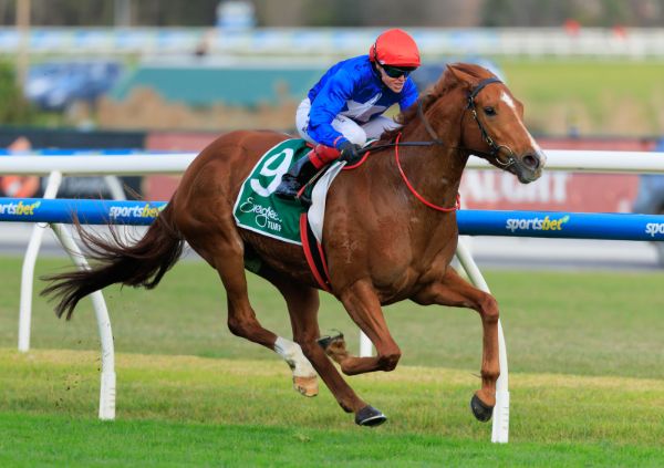 Prime Owners Celebrate – Pride of Dubai Mare Wins Listed Regal Roller
